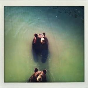 Meet your Posher, Cheese